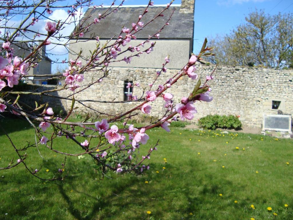 La Maison Claire Longueville  Exterior photo