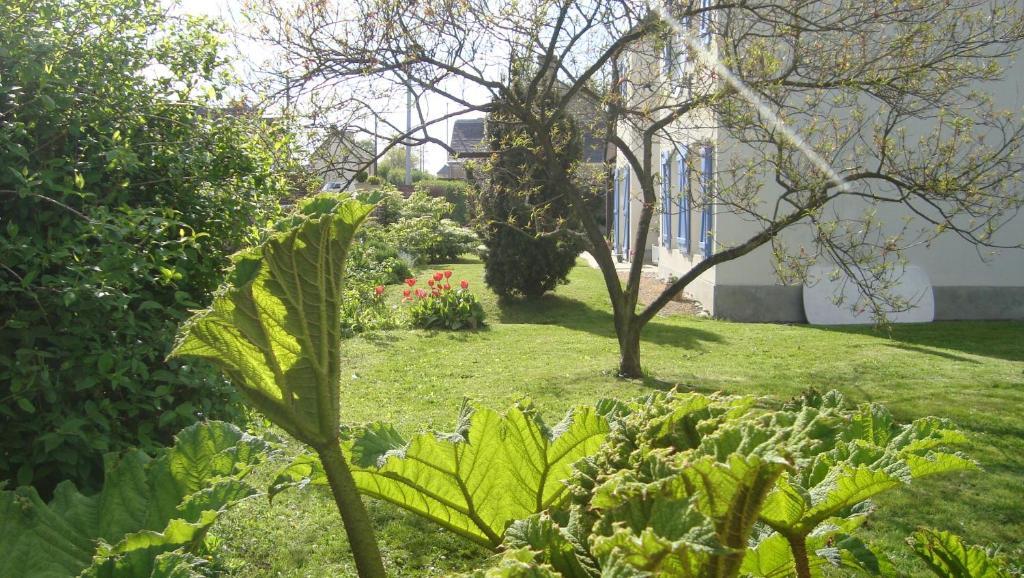 La Maison Claire Longueville  Exterior photo